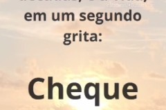 Reels para o Lançamento