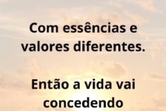 Reels para o Lançamento