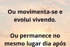 Reels para o Lançamento
