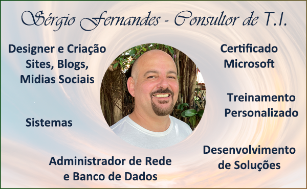 Sérgio Fernandes – Consultor de T.I. – Serviços  – 2024